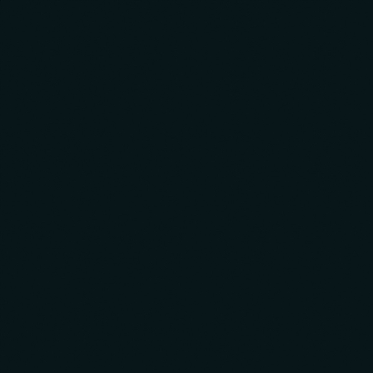 424 | schwarz
